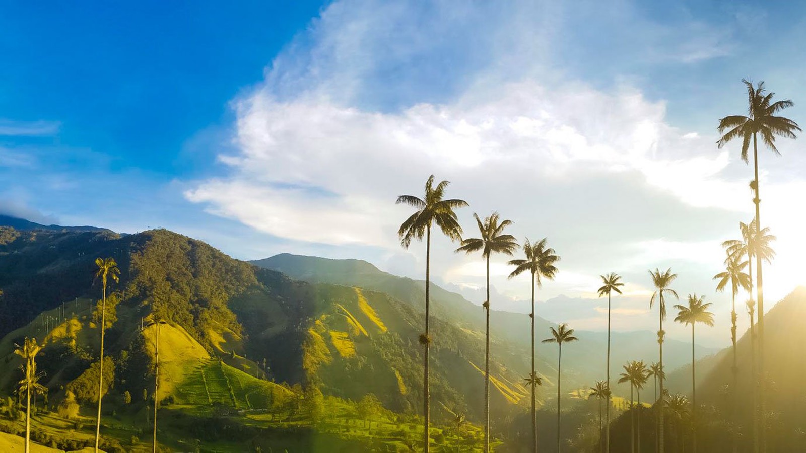 maragar travel, turismo, pasadias, transporte en ibagué, colombia