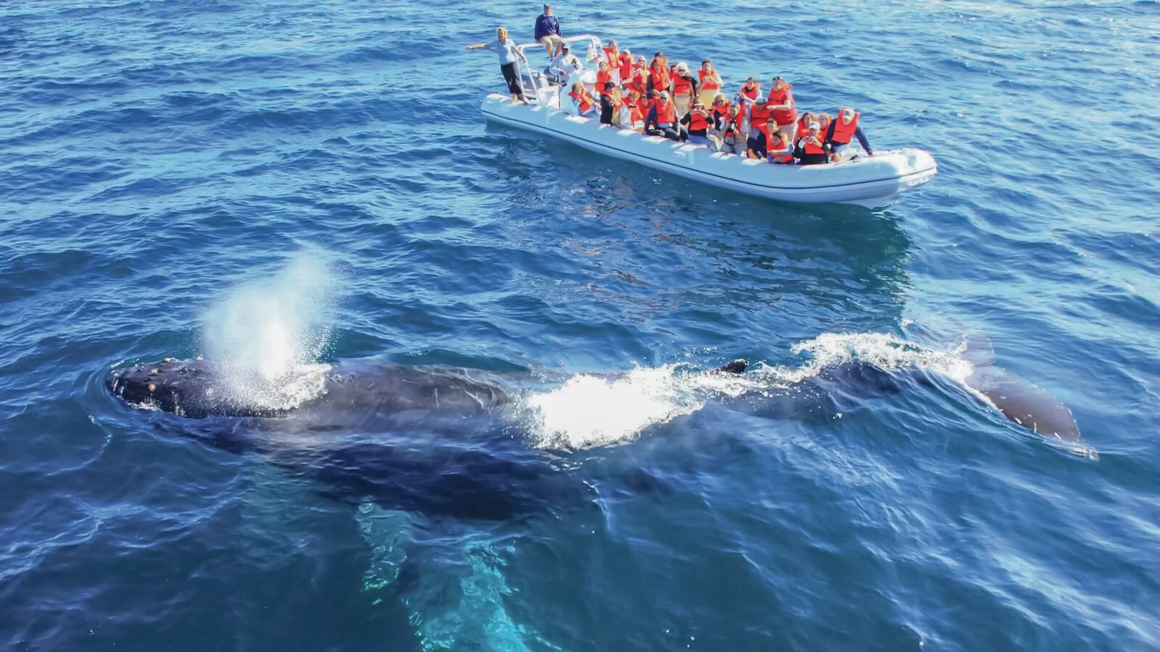 maragar travel, turismo, pasadias, transporte en ibagué, colombia