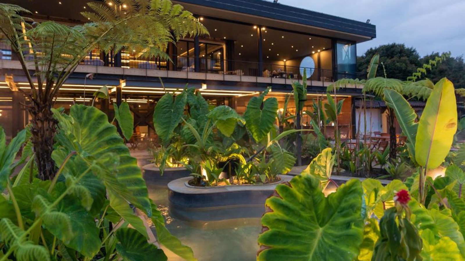 Grupo infinty, turismo, pasadias, transporte en ibagué, colombia