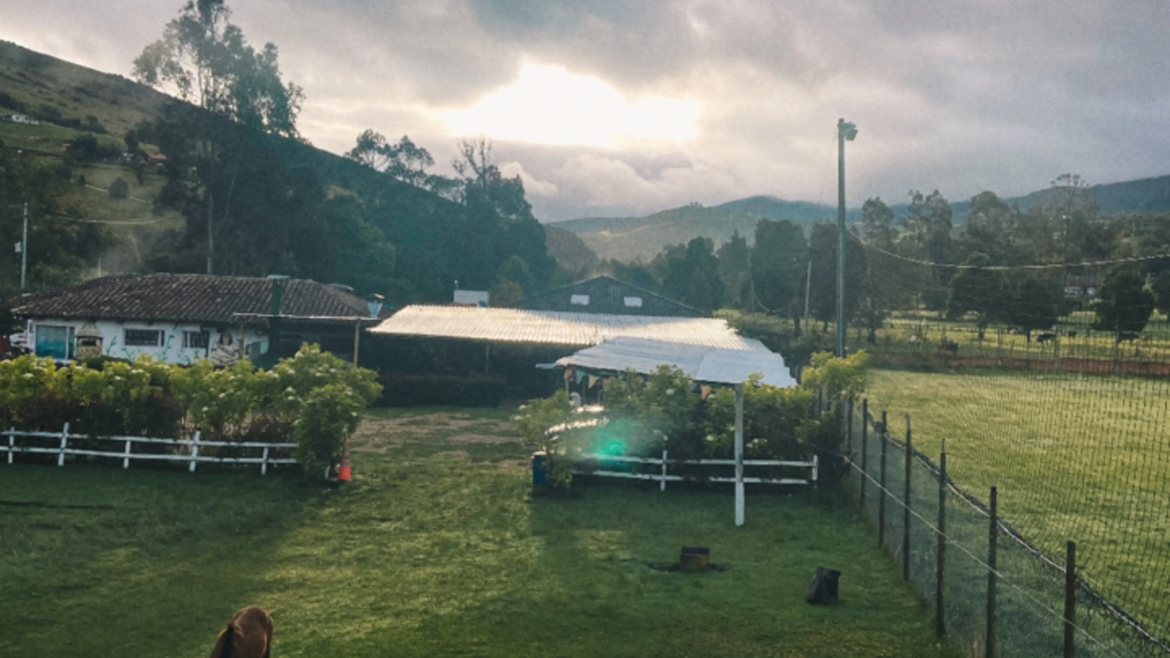 Grupo infinty, turismo, pasadias, transporte en ibagué, colombia