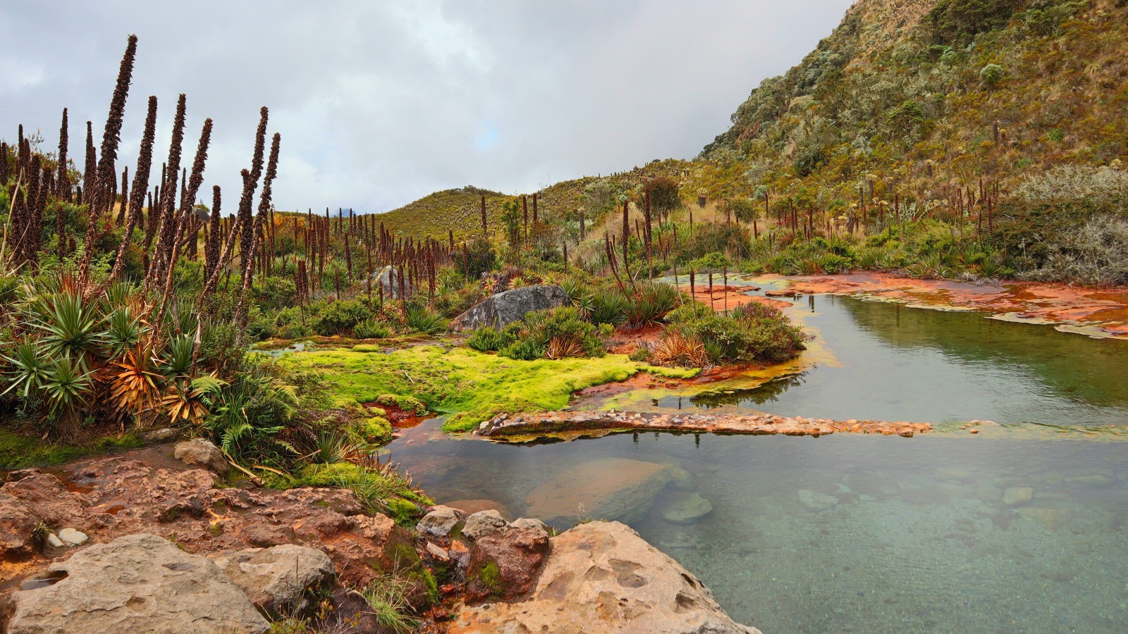 maragar travel, turismo, pasadias, transporte en ibagué, colombia