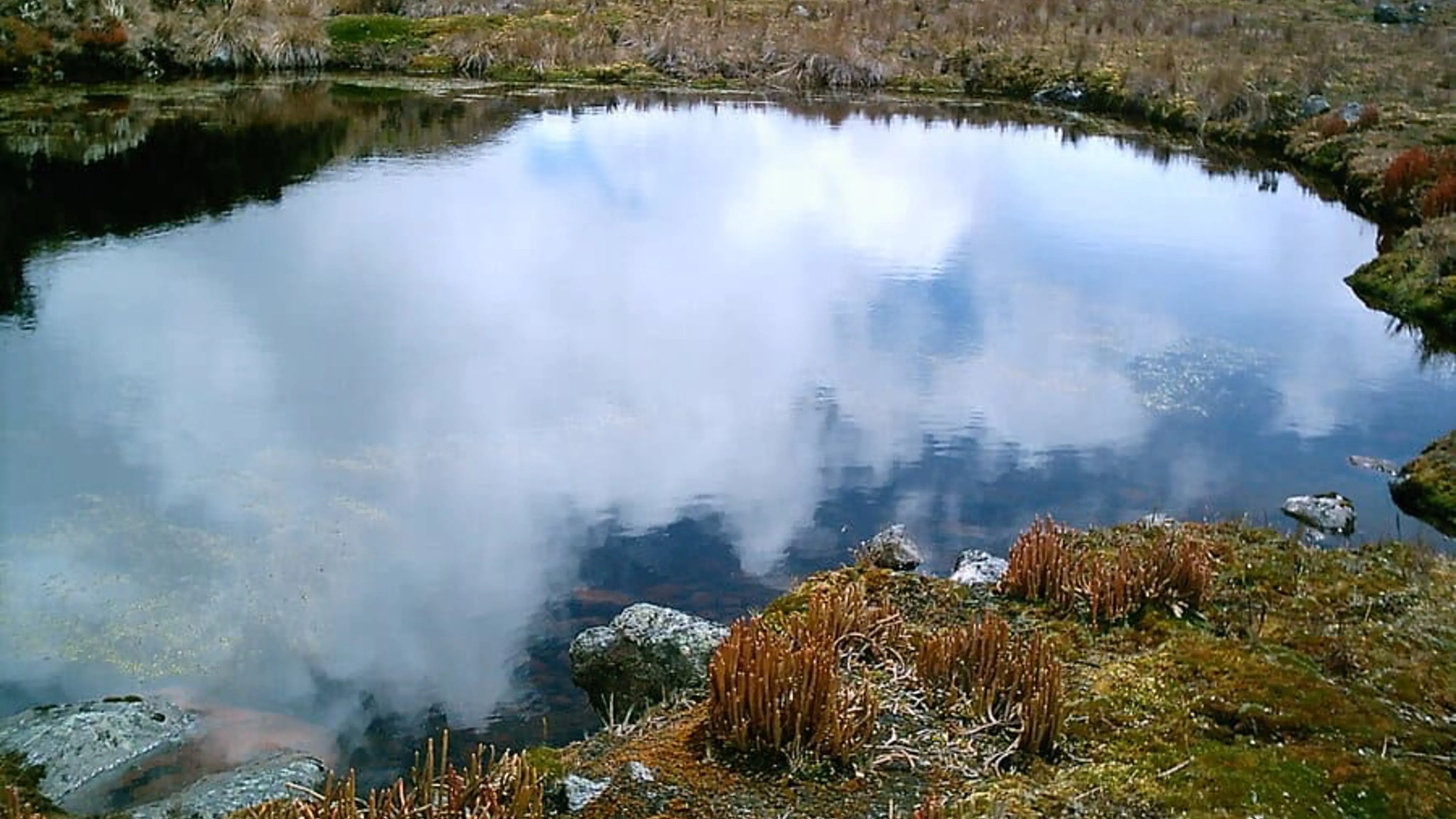 Grupo infinty, turismo, pasadias, transporte en ibagué, colombia