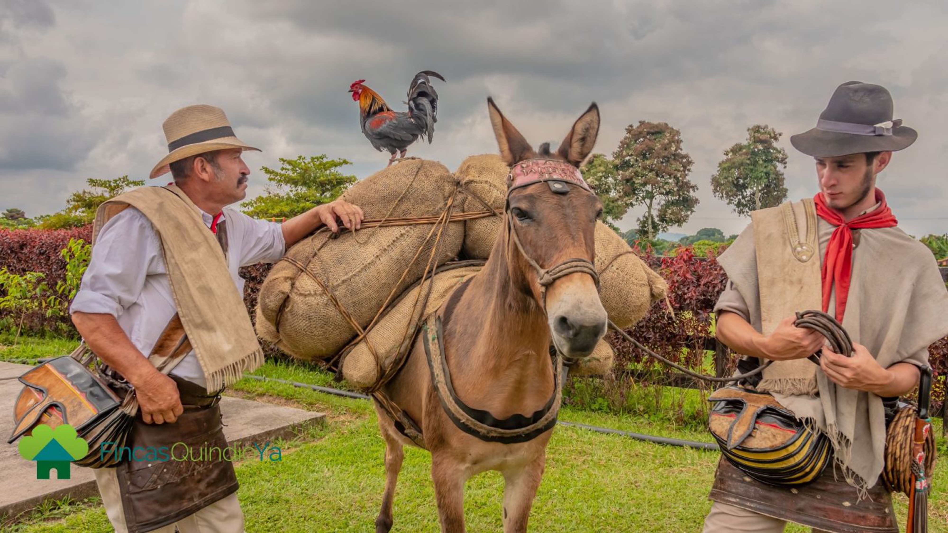 Grupo infinty, turismo, pasadias, transporte en ibagué, colombia