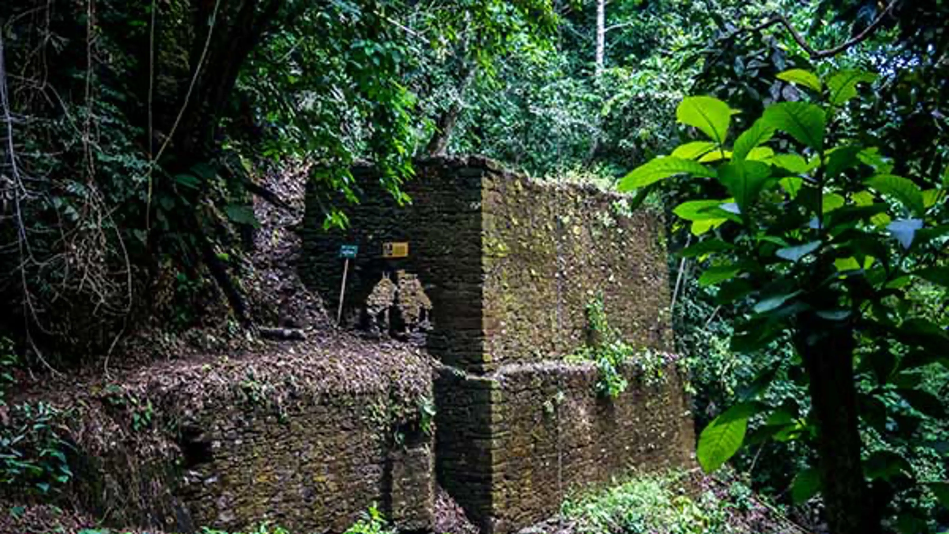 Grupo infinty, turismo, pasadias, transporte en ibagué, colombia