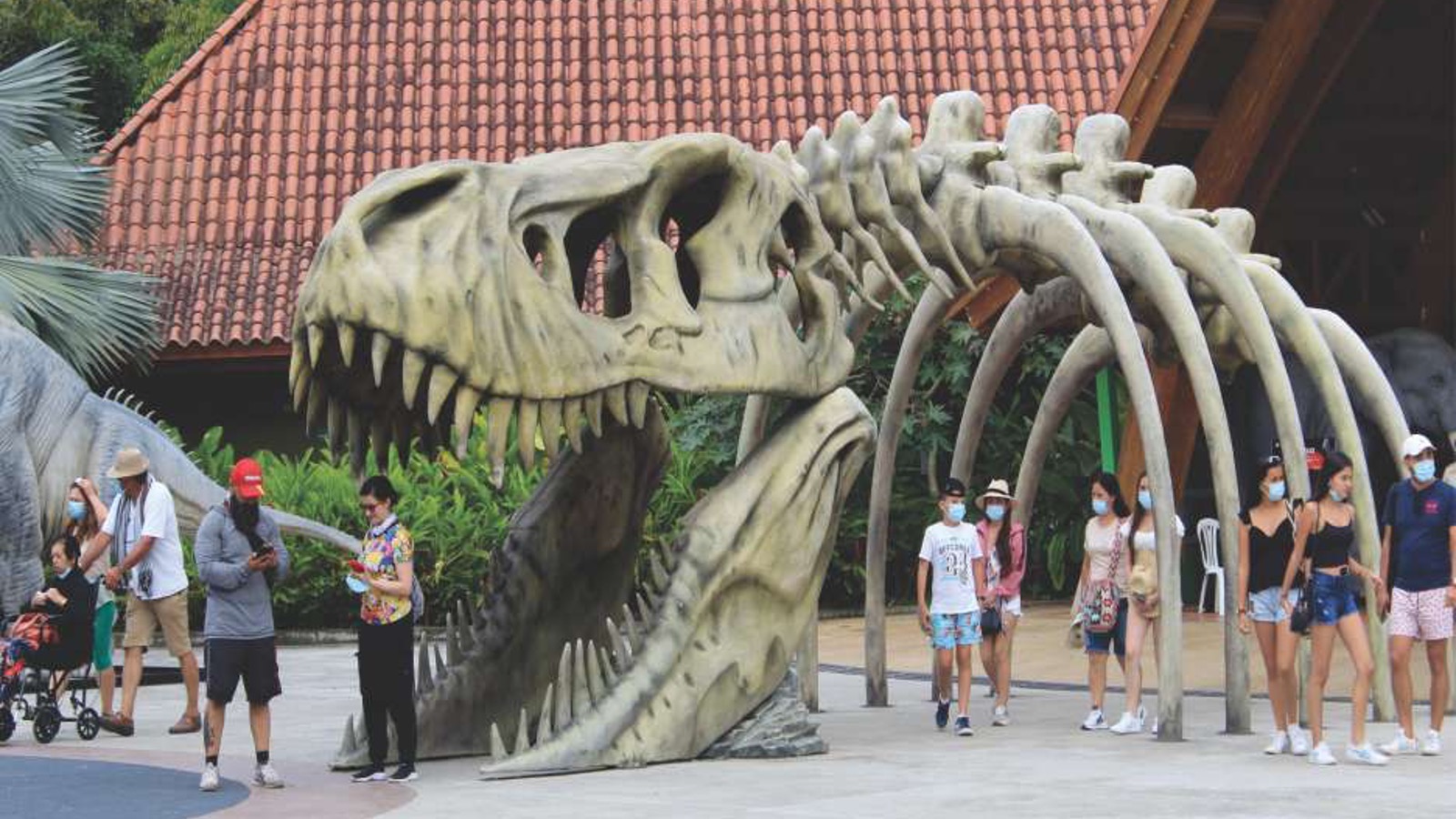 maragar travel, turismo, pasadias, transporte en ibagué, colombia