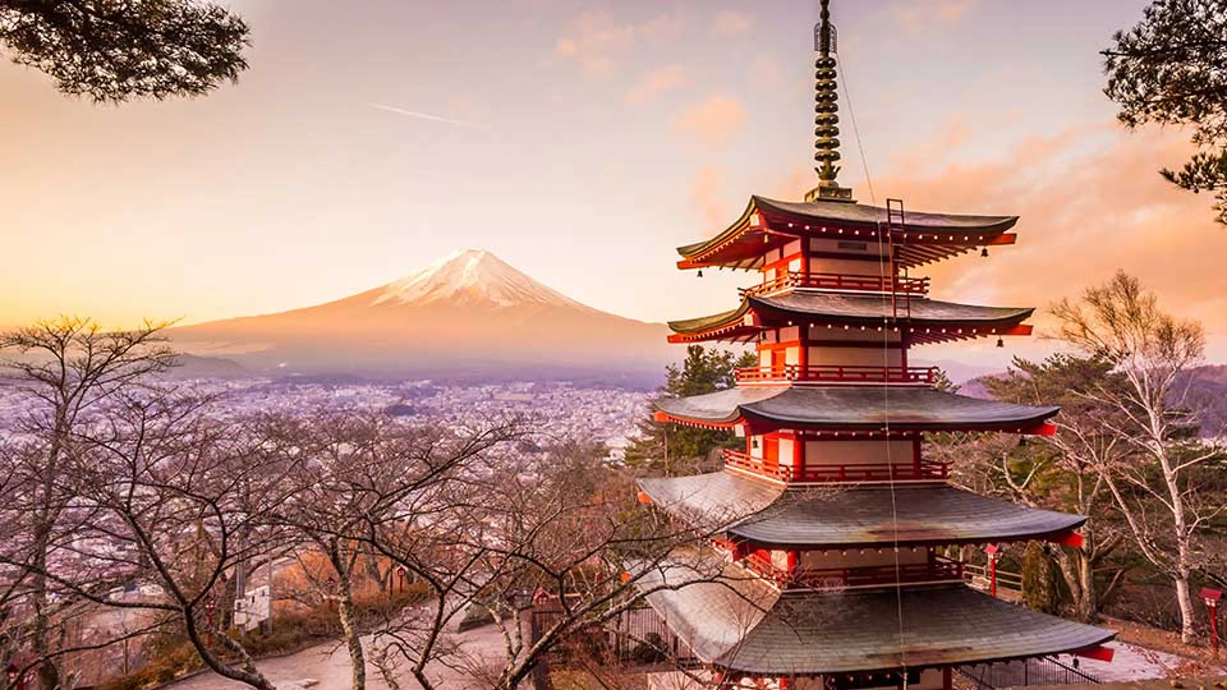 Grupo infinty, turismo, pasadias, transporte en ibagué, colombia