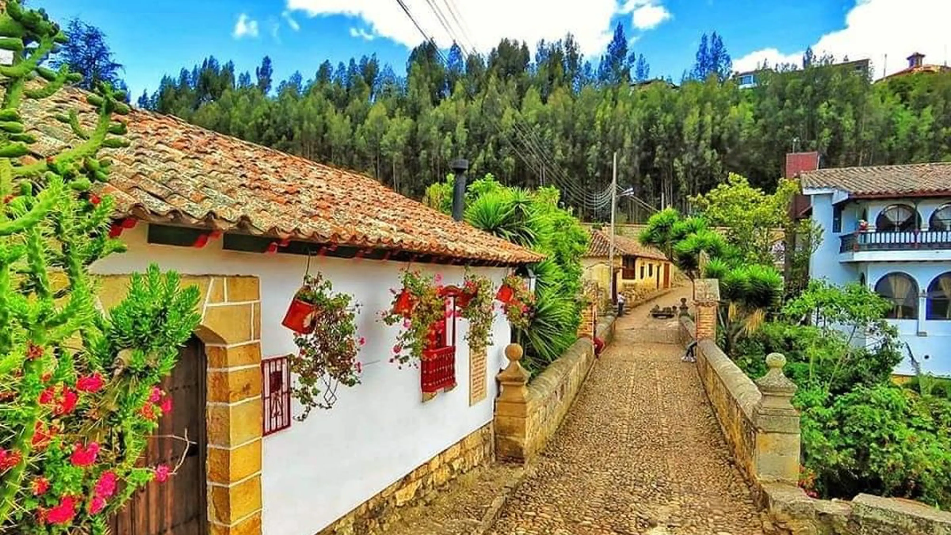 Grupo infinty, turismo, pasadias, transporte en ibagué, colombia