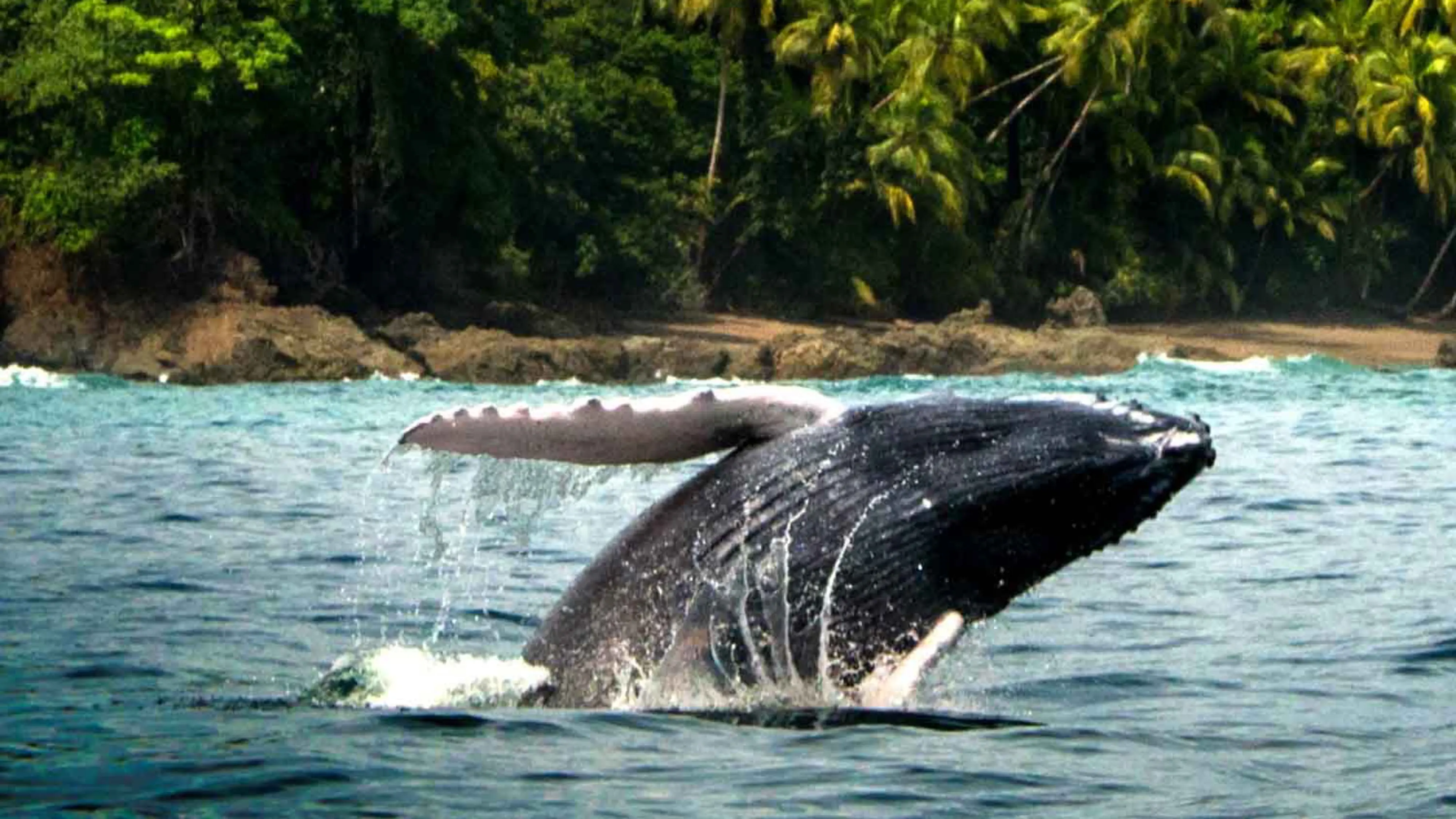 Grupo infinty, turismo, pasadias, transporte en ibagué, colombia