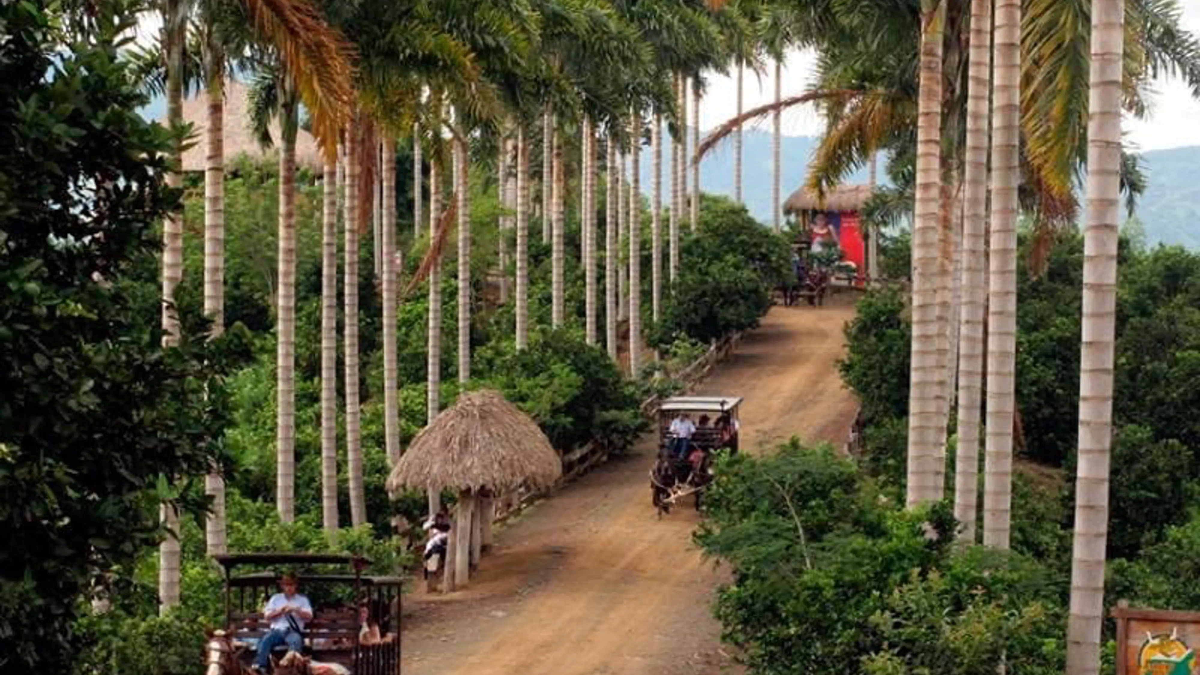 Grupo infinty, turismo, pasadias, transporte en ibagué, colombia