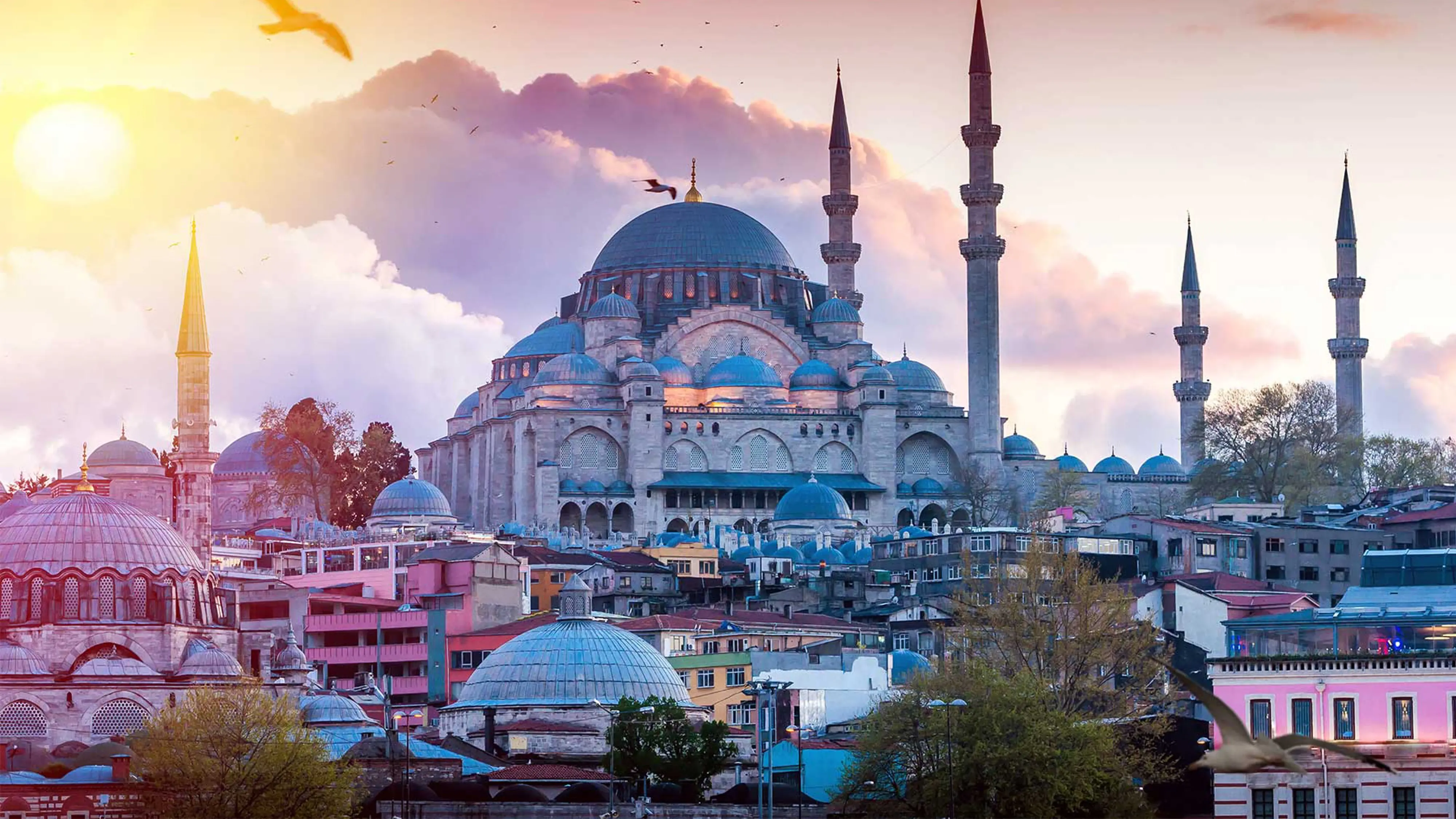 maragar travel, turismo, pasadias, transporte en ibagué, colombia