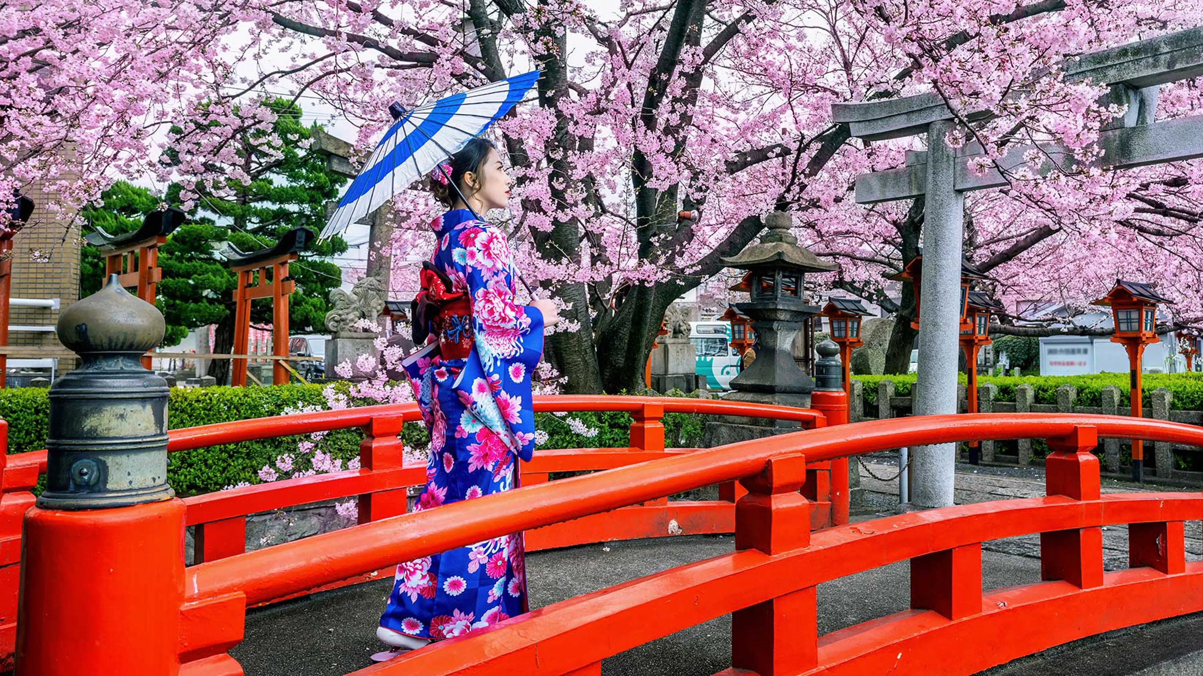 Grupo infinty, turismo, pasadias, transporte en ibagué, colombia