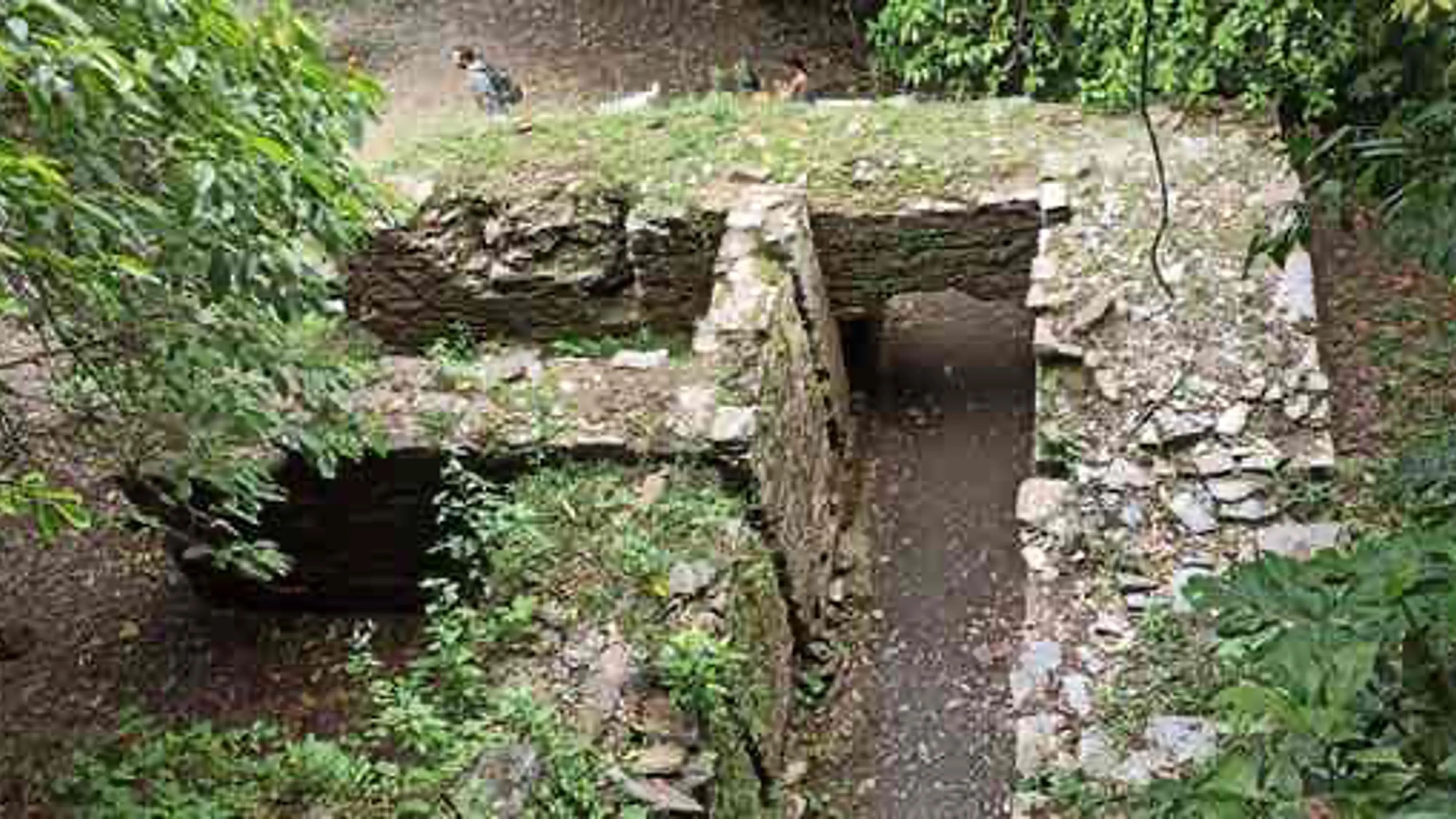 Grupo infinty, turismo, pasadias, transporte en ibagué, colombia