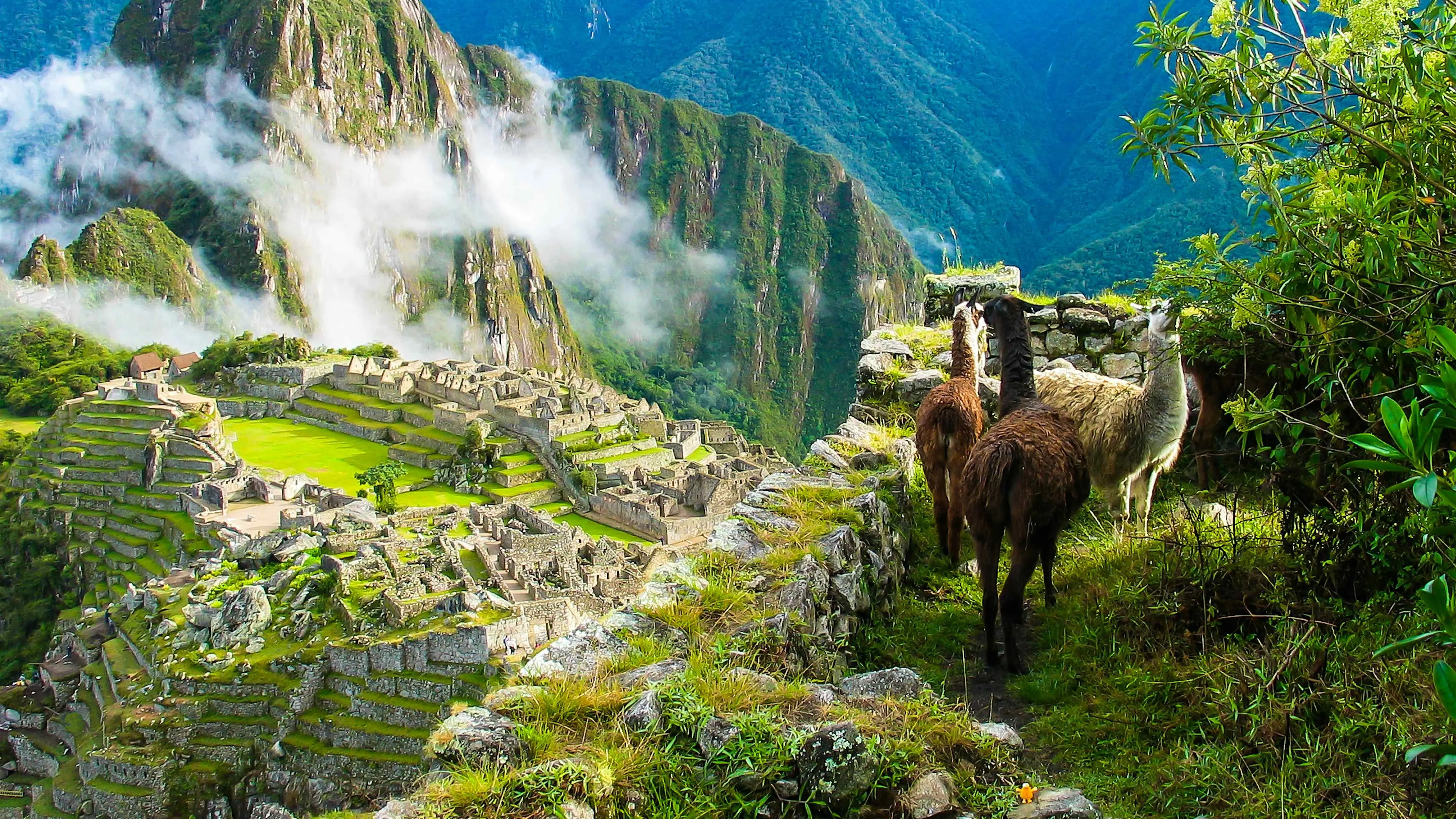 Grupo infinty, turismo, pasadias, transporte en ibagué, colombia