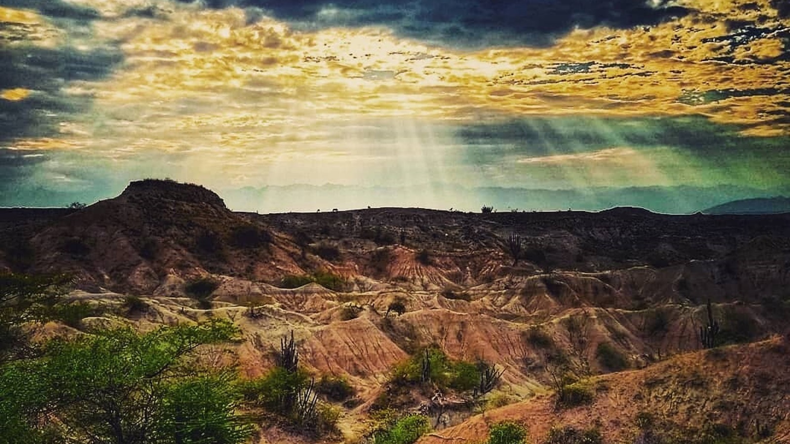 Grupo infinty, turismo, pasadias, transporte en ibagué, colombia