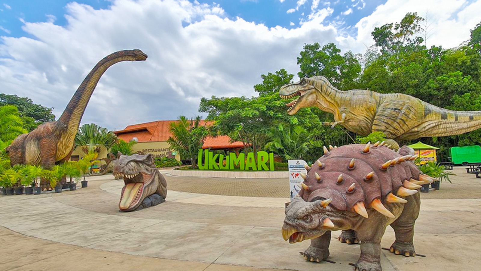 Grupo infinty, turismo, pasadias, transporte en ibagué, colombia
