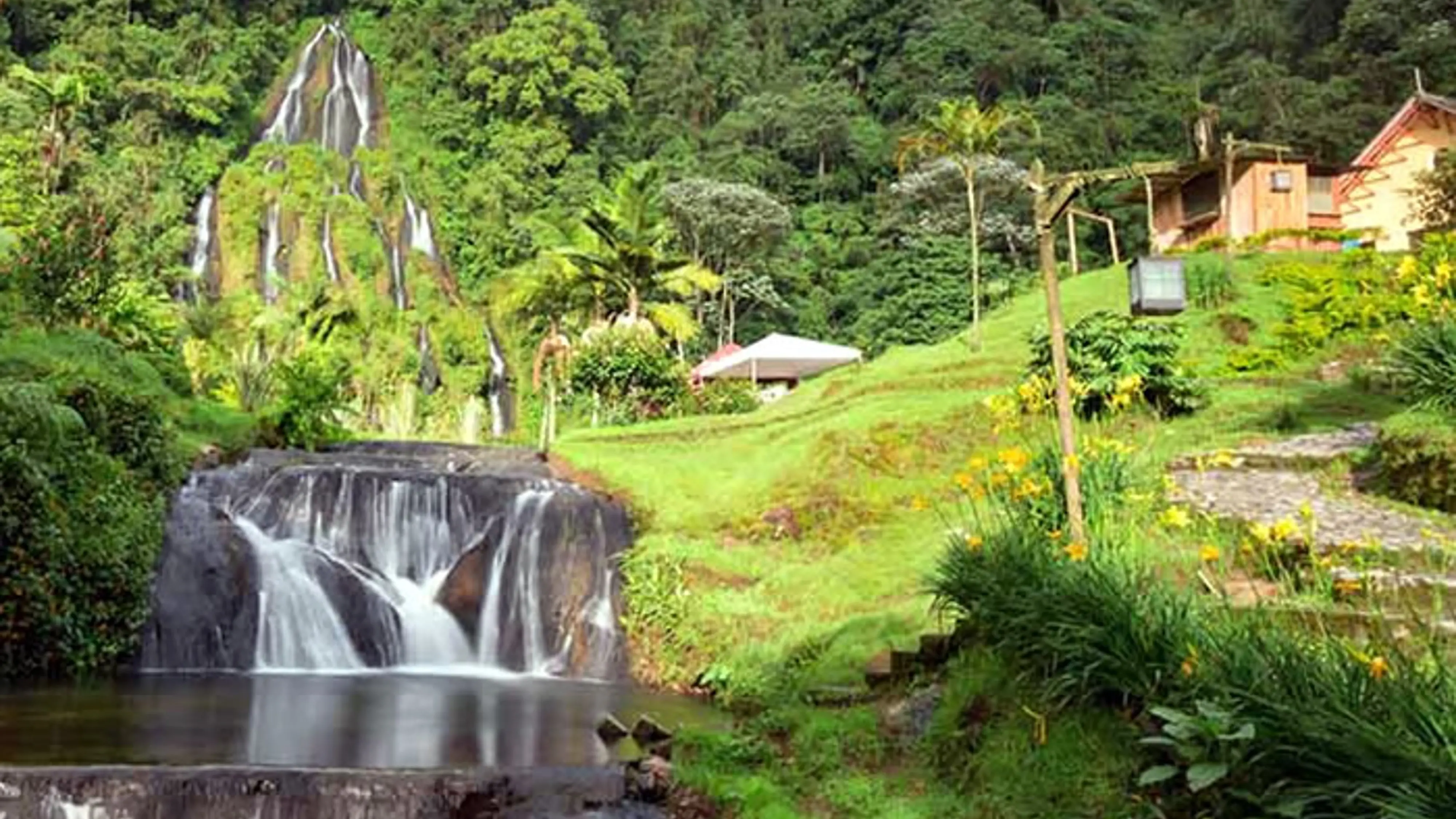 Grupo infinty, turismo, pasadias, transporte en ibagué, colombia