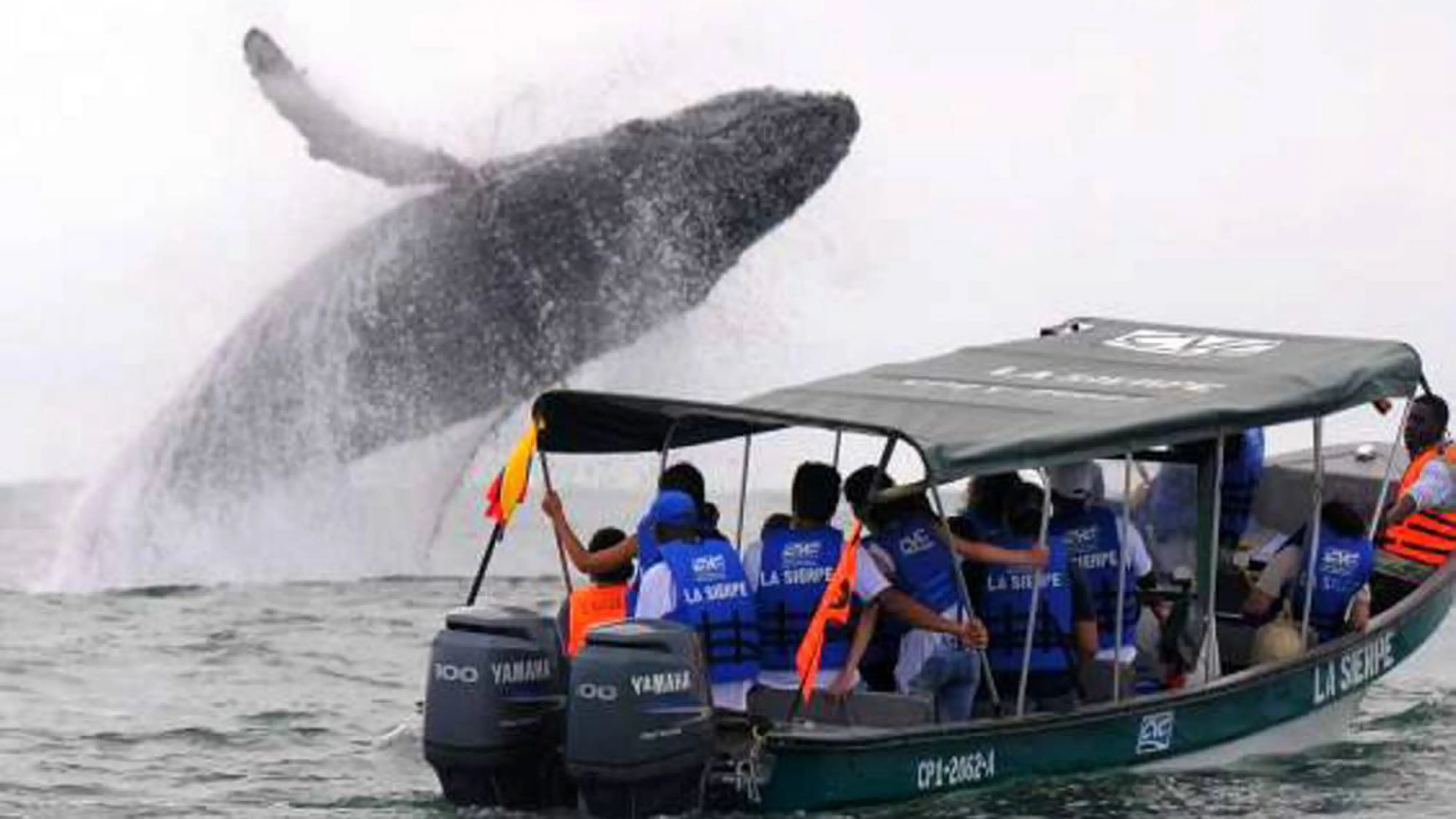Grupo infinty, turismo, pasadias, transporte en ibagué, colombia