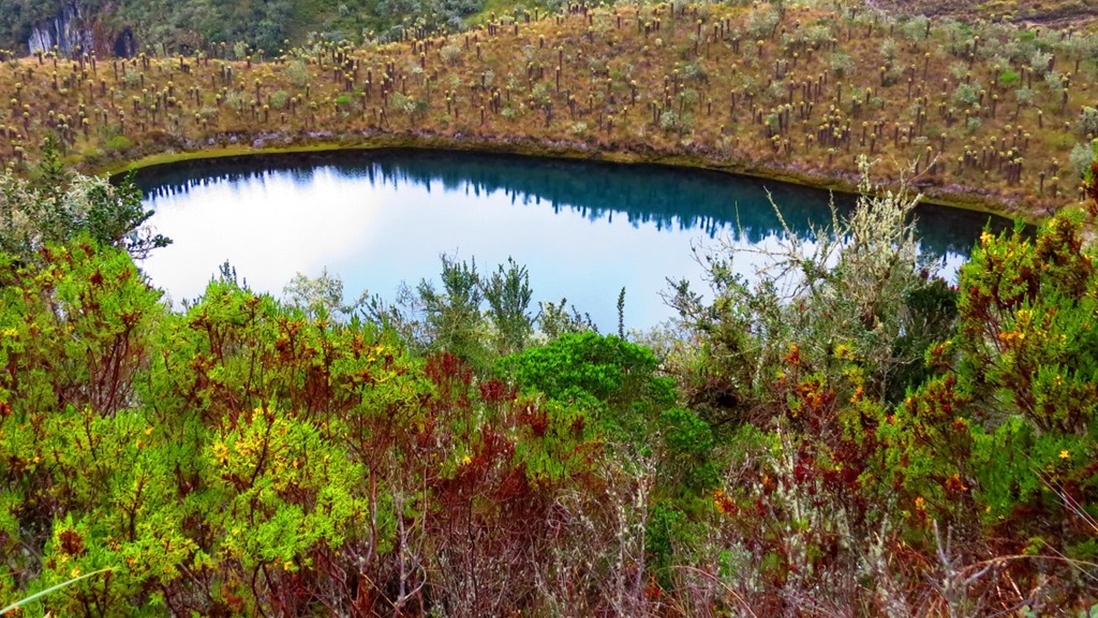 Grupo infinty, turismo, pasadias, transporte en ibagué, colombia