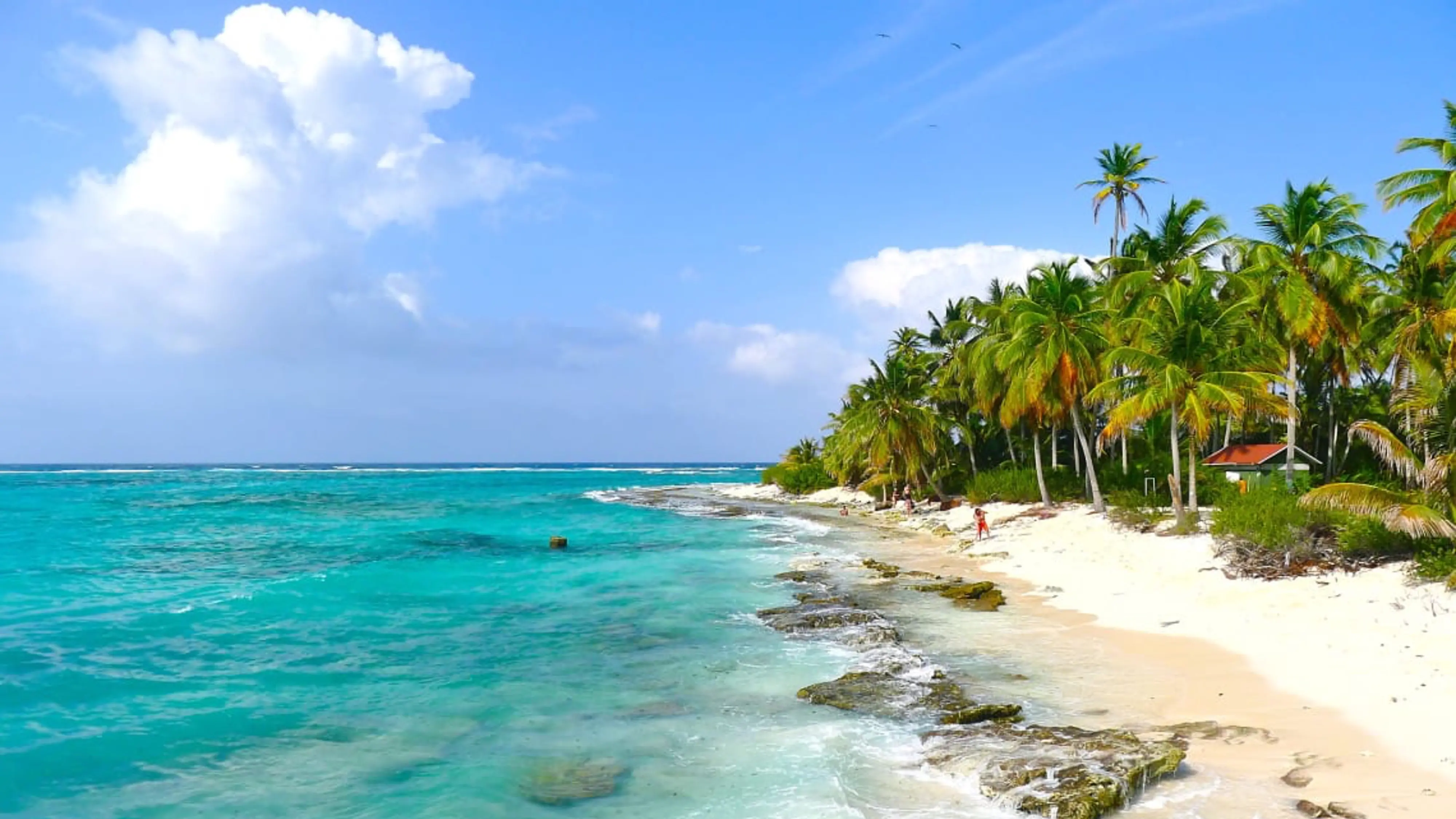Grupo infinty, turismo, pasadias, transporte en ibagué, colombia