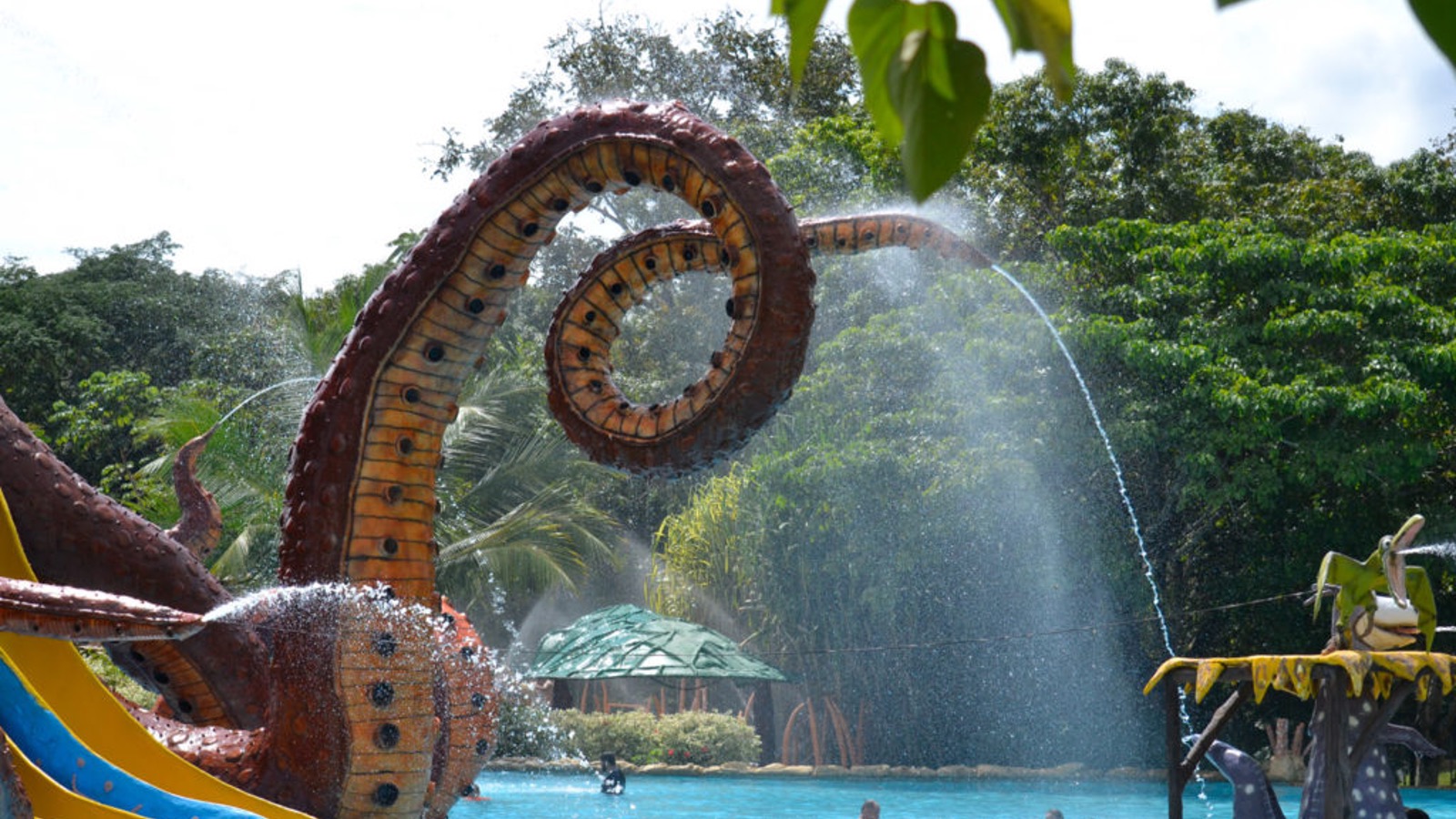 Grupo infinty, turismo, pasadias, transporte en ibagué, colombia