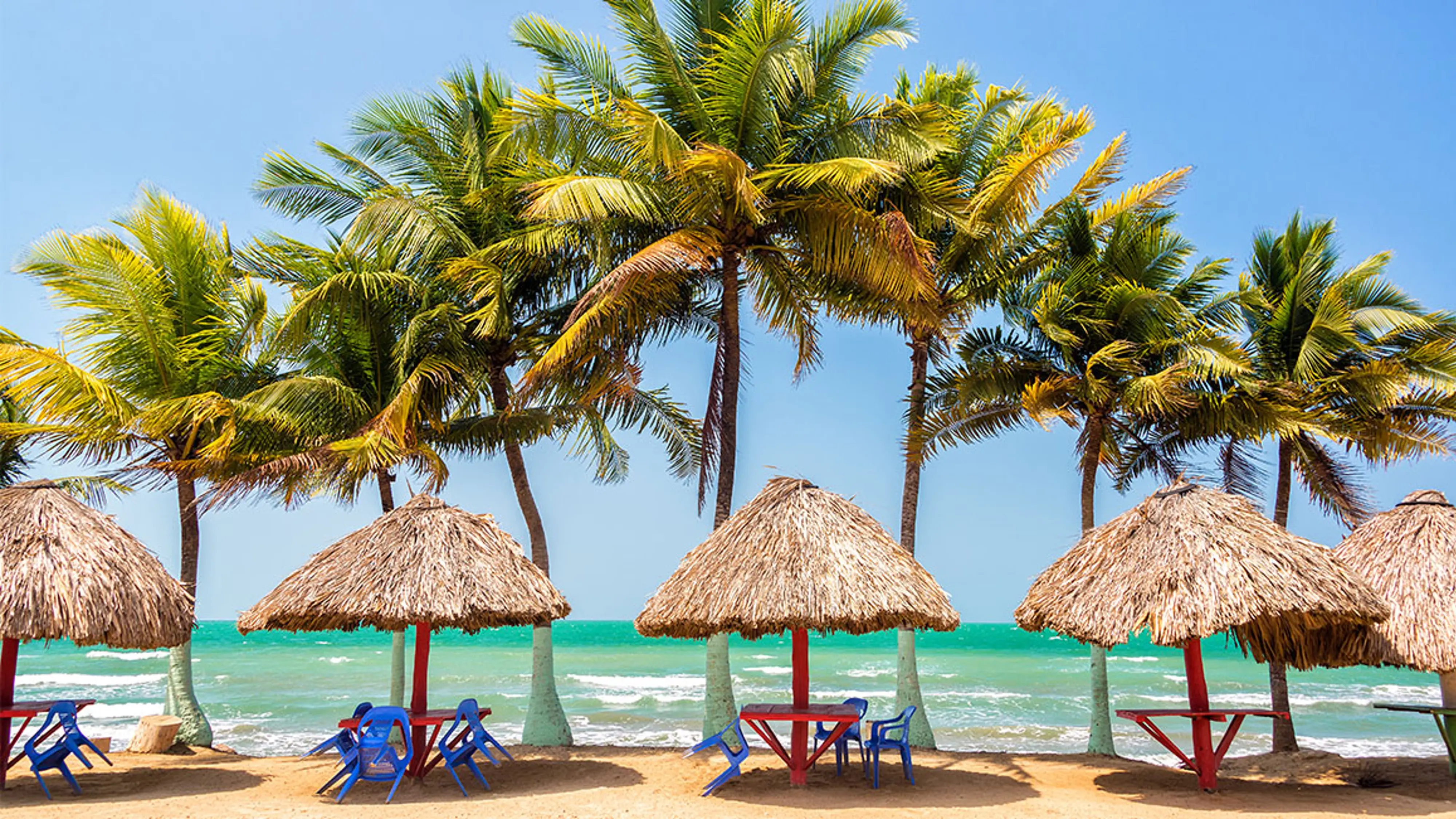 Grupo infinty, turismo, pasadias, transporte en ibagué, colombia